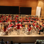 Tmima Bandas